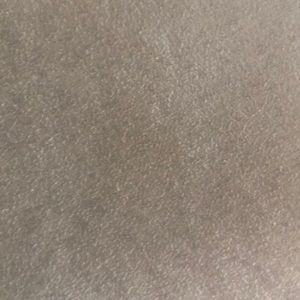 Meet your Posher, Alishia